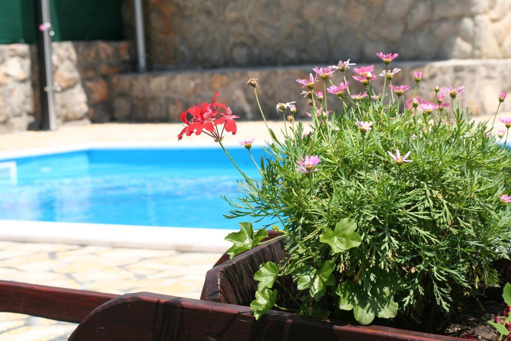 Apartments Petricic With Swimming Pool Ичичи Экстерьер фото